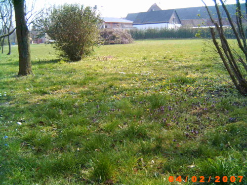 ../Images/TL Radis 07 PIC0021.JPG
